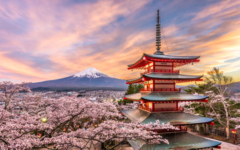 Chureito Pagoda with mount fuji and Cherry blossoms in Spring in Japan