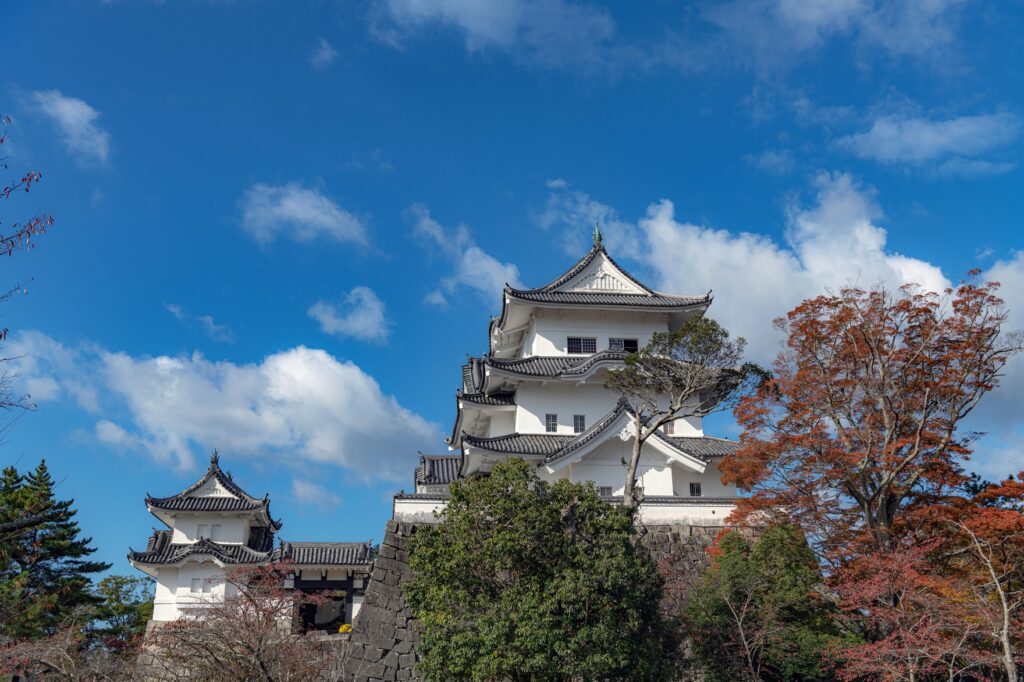 Iga-Ueno Castle