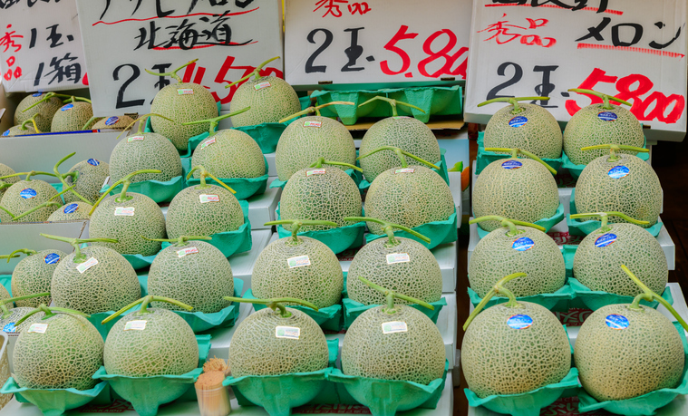 Hokkaido Yubari King Melon at the Hakodate Market Japan