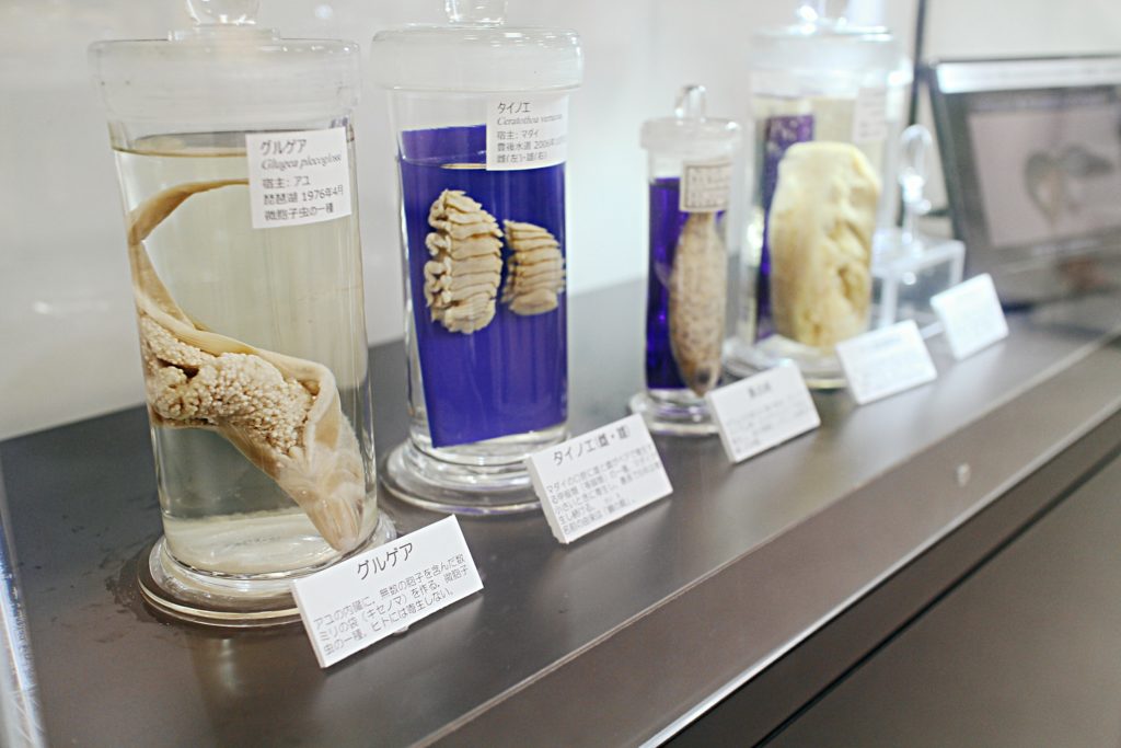 Meguro Parasite Museum in Tokyo