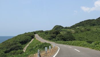 Green road along the Shimabara peninsula.