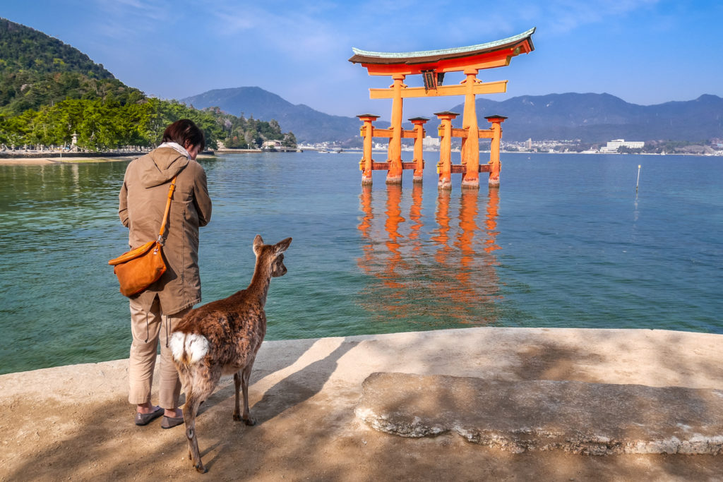 Itsukushima Shrine is floating on the sea in Miyajima, Hiroshima, Japan..