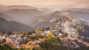 Cherry blossoms among the Yoshino mountains in Nara prefecture