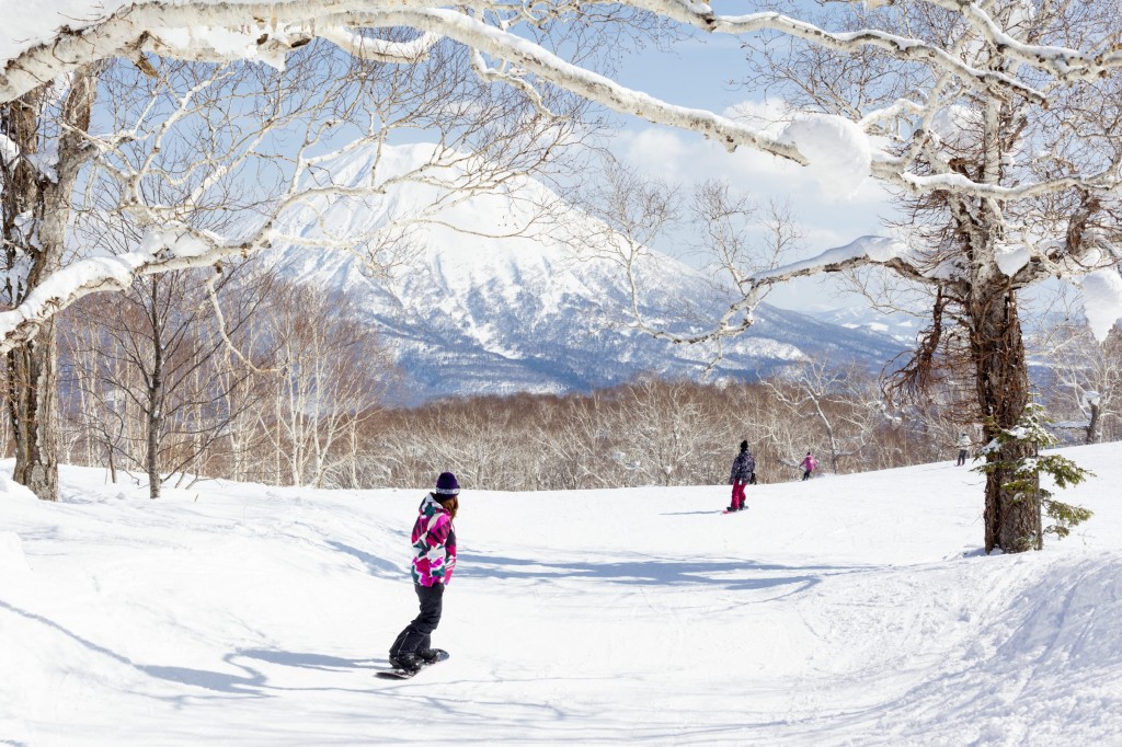 eneral view of people snowboarding on a tree-lined piste in the Niseko Grand Hirafu ski resort, Hokkaido, Japan. Mt Yotei can be seen in the background.