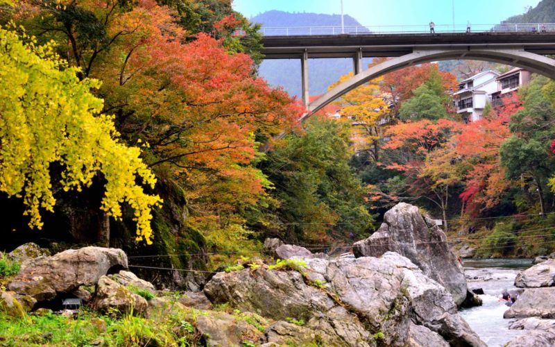Located in western Tokyo, Okutama is a part of Chichibu-Tama-Kai National Park.