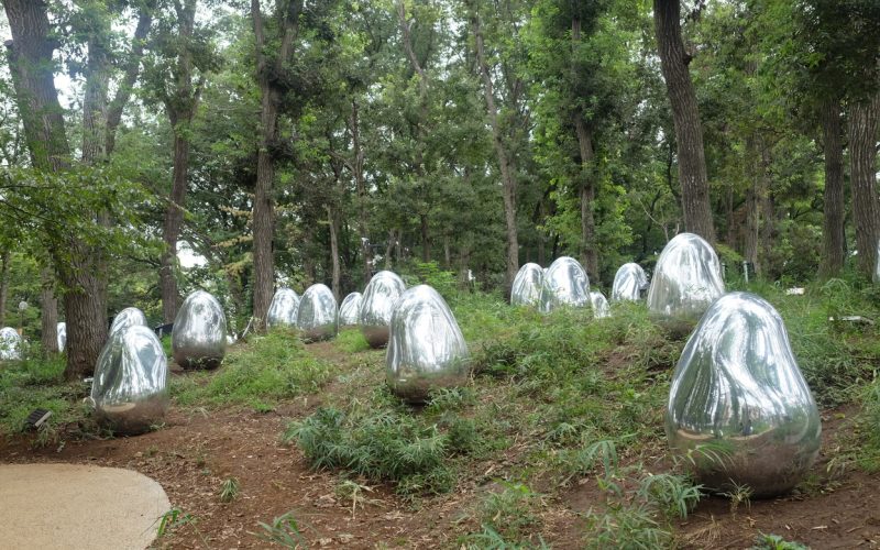TeamLab: Resonating Life in the Acorn Forest