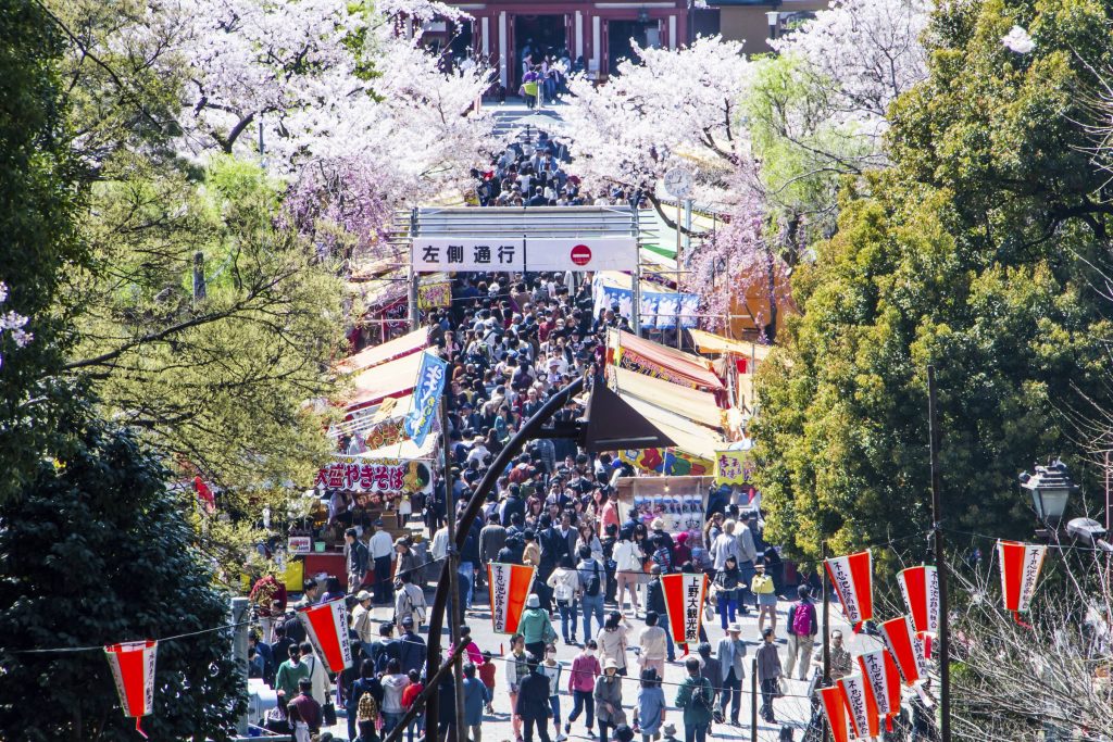 Ueno Park is one of the most popular places in the city for hanami, or cherry blossom viewing,